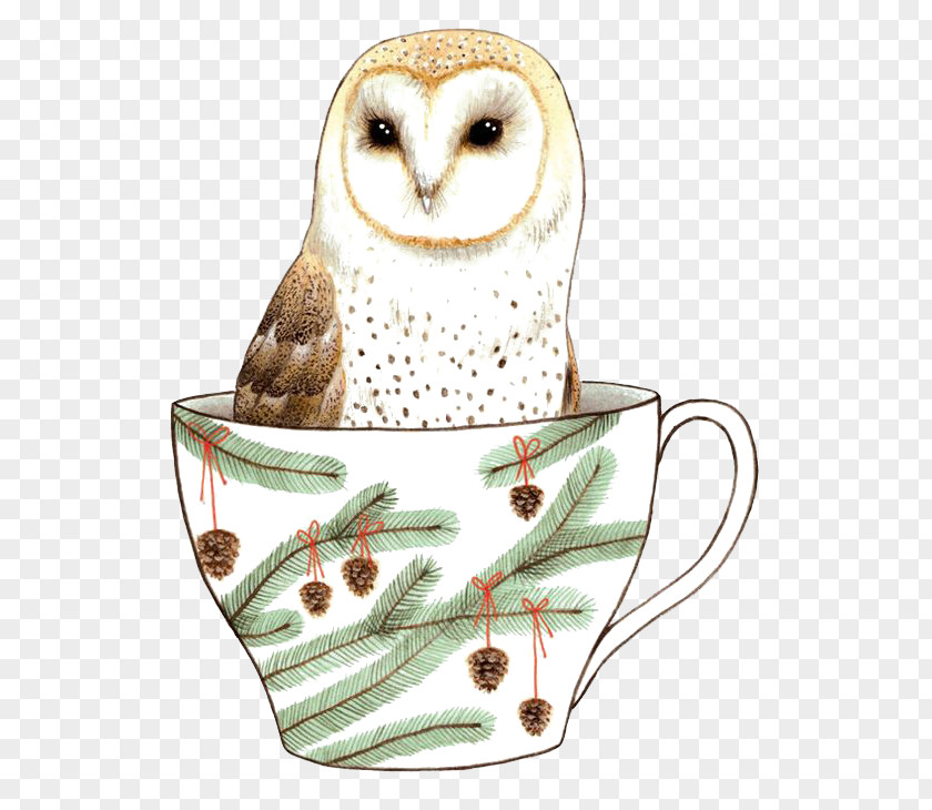 Owl Cup Bird Idea Illustration PNG