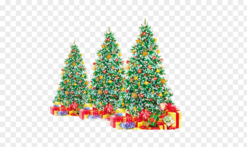 Christmas Tree Ded Moroz Santa Claus Gift PNG