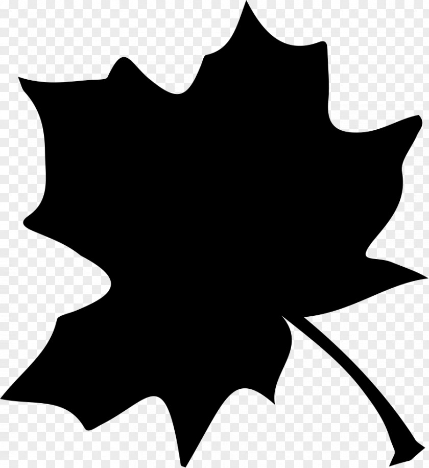 Leaf Clip Art PNG