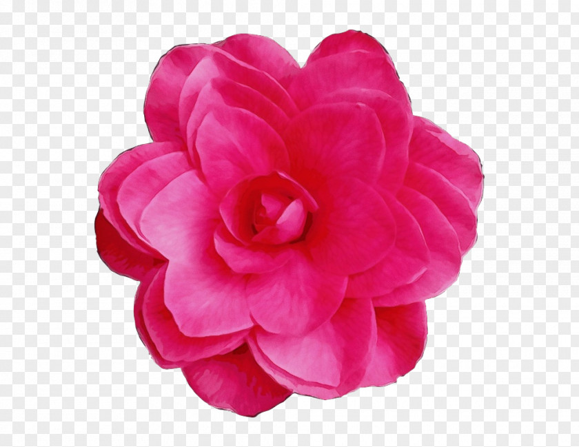 Peony Impatiens Artificial Flower PNG