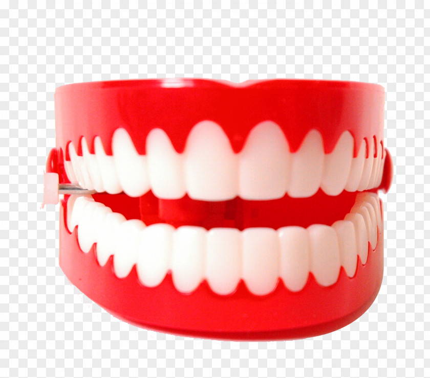 Plastic Teeth Mouth Tooth Dentistry Bruxism Lip PNG