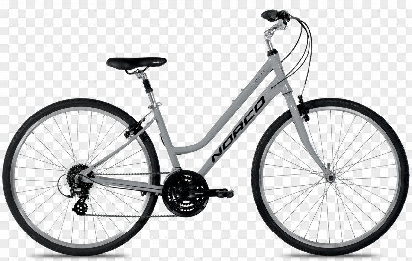 Bicycle Fixed-gear Road Single-speed Frames PNG