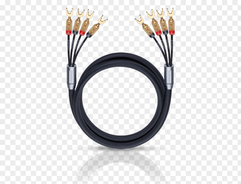Biwiring Speaker Wire Electrical Cable Bi-wiring Loudspeaker Bi-amping And Tri-amping PNG