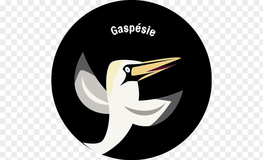 Fou De Bassan Tourism Logo Northern Gannet Text Illustration PNG