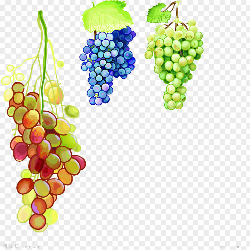 Grape Juice Watercolor Painting PNG