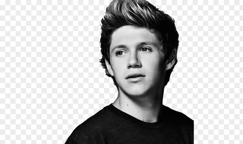 Niall Horan Mullingar One Direction Slow Hands PNG