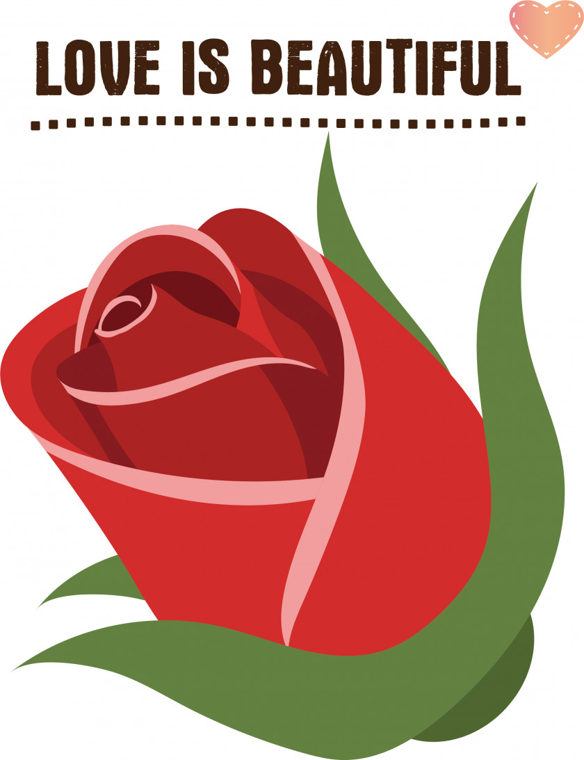 Rose PNG