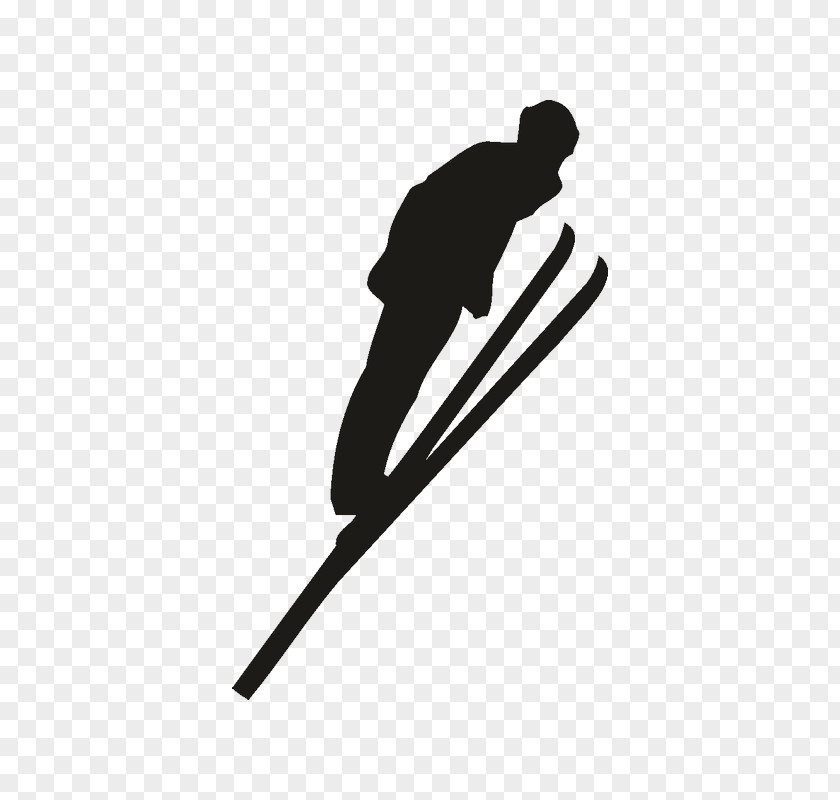 Skiing Ski Poles Sticker Winter Sport Snowboarding PNG
