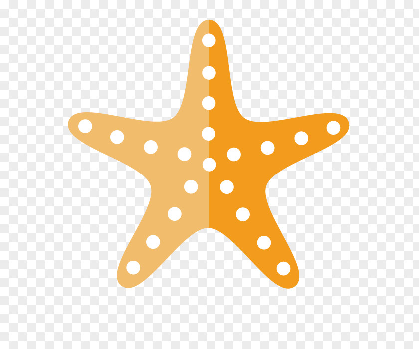 Vector Orange Starfish United States Sunan Gunung Djati Islamic State University Abijah C. Jay House Aaron Swayzee Turbulette PNG