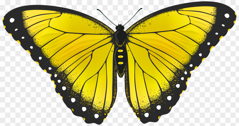 Yellow Butterfly Transparent Clip Art Image PNG