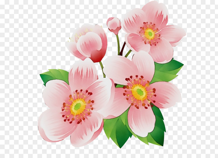 Anemone Artificial Flower PNG