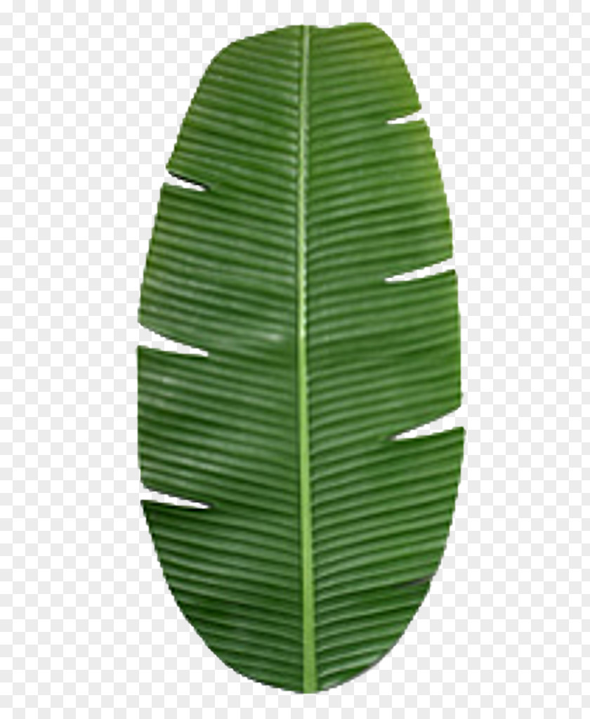 Banana Leaves Leaf Texture Mapping PNG