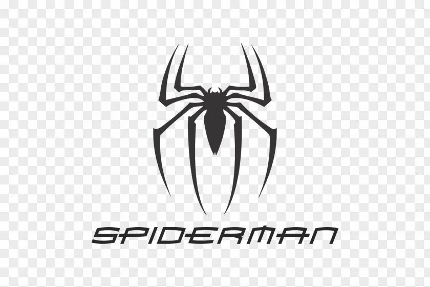 Black Spider PNG