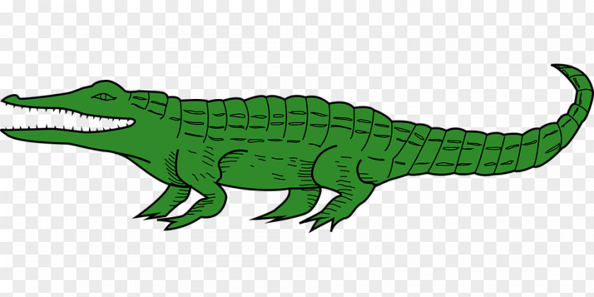 Crocodile Alligators Clip Art Image PNG