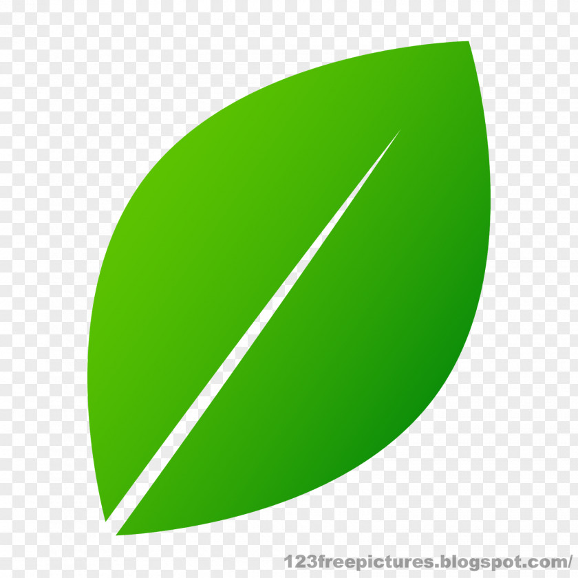 Green Leaves Circle Angle Plant PNG