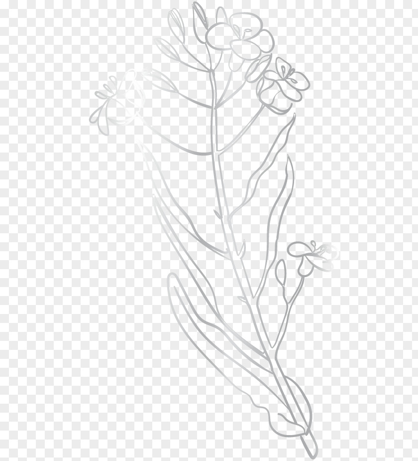 Mensch Symbol Twig Floral Design Leaf Sketch PNG