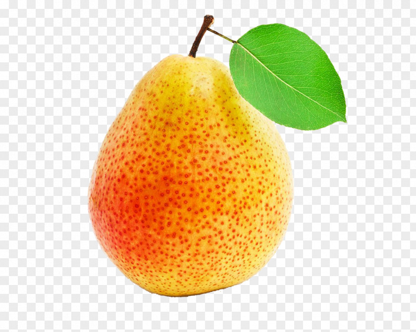 Pears Pictures Grapefruit Asian Pear Citrus Junos Tangelo PNG