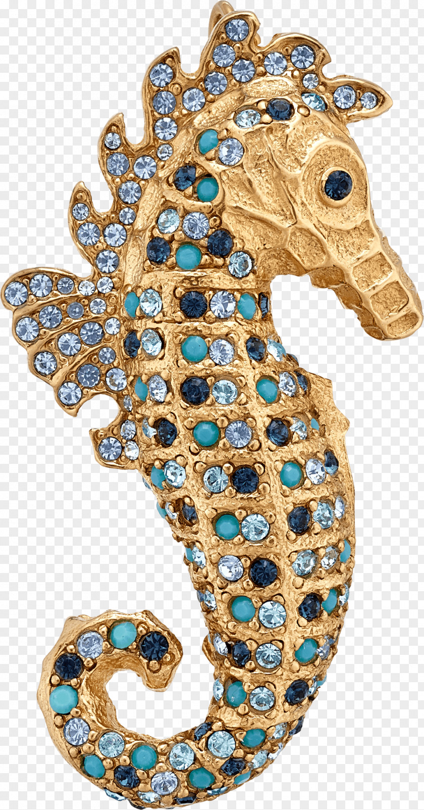 Seahorse Jewellery Brooch Syngnathiformes Clothing Accessories PNG