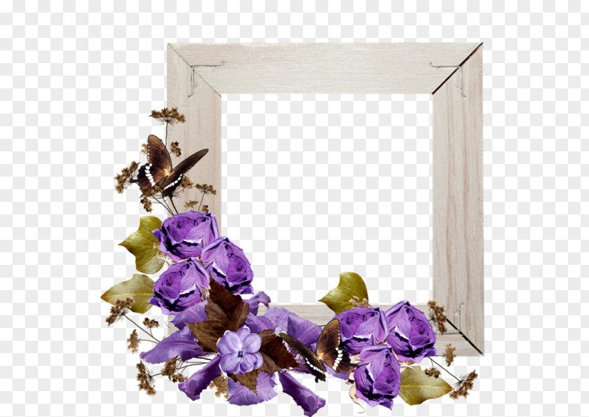 Beautiful Purple Bow Photography Clip Art PNG