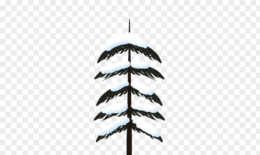 Feather PNG