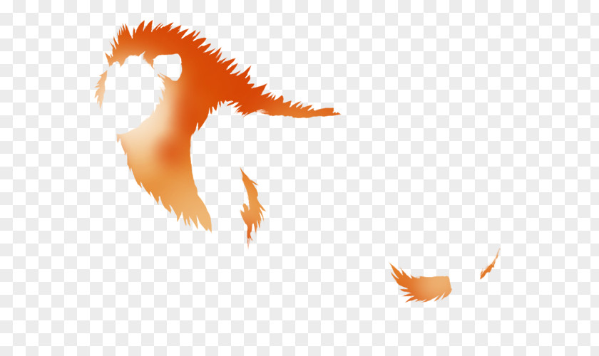 Fiery Feather Desktop Wallpaper Tail Beak PNG
