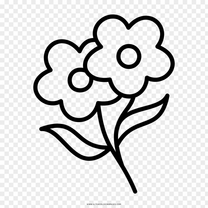 Flower Floral Design Coloring Book Drawing PNG