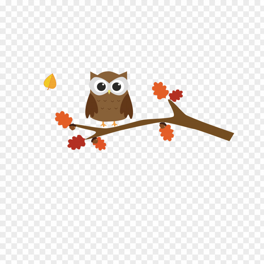 Owl Bird PNG