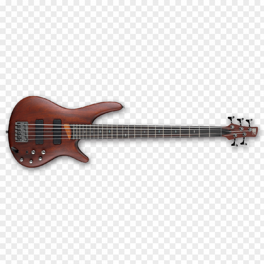 Bass Guitar Ibanez Musical Instruments String PNG