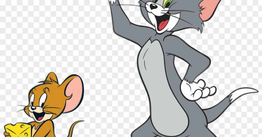 Cat Tom Jerry Mouse And PNG