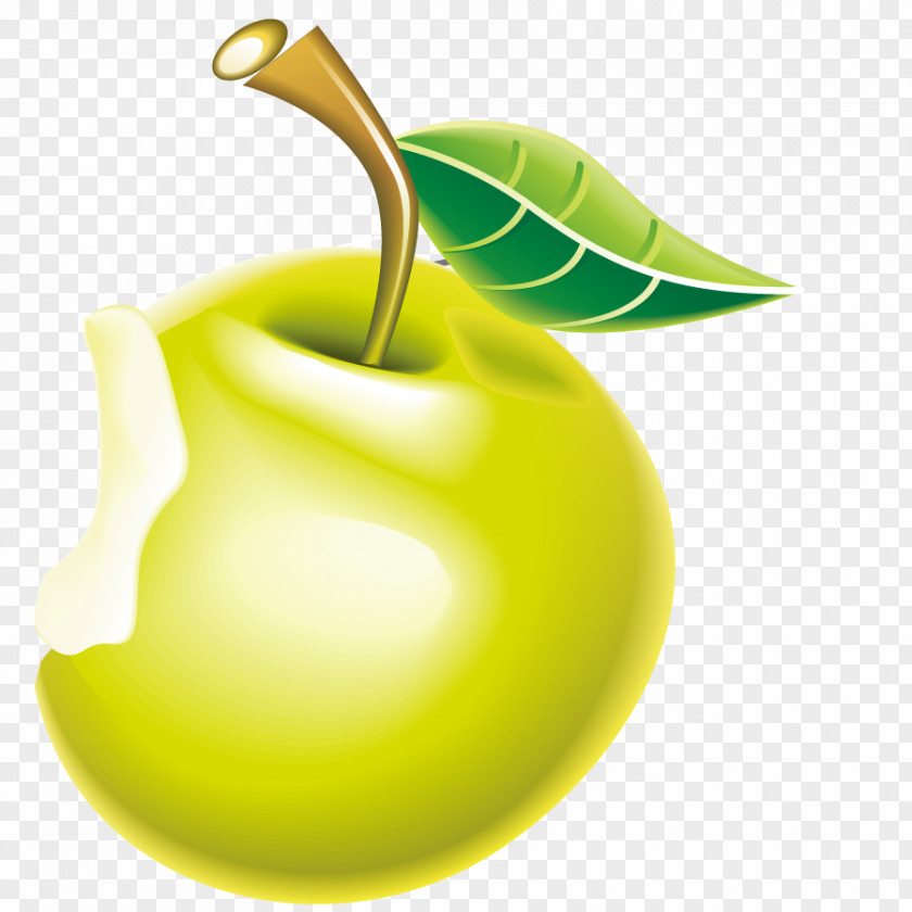 Green Apple Vector Food Dentistry Clip Art PNG