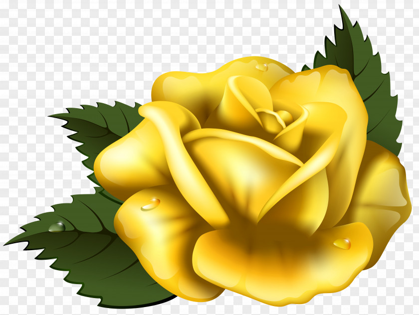 Large Yellow Rose Transparent Clip Art Image PNG