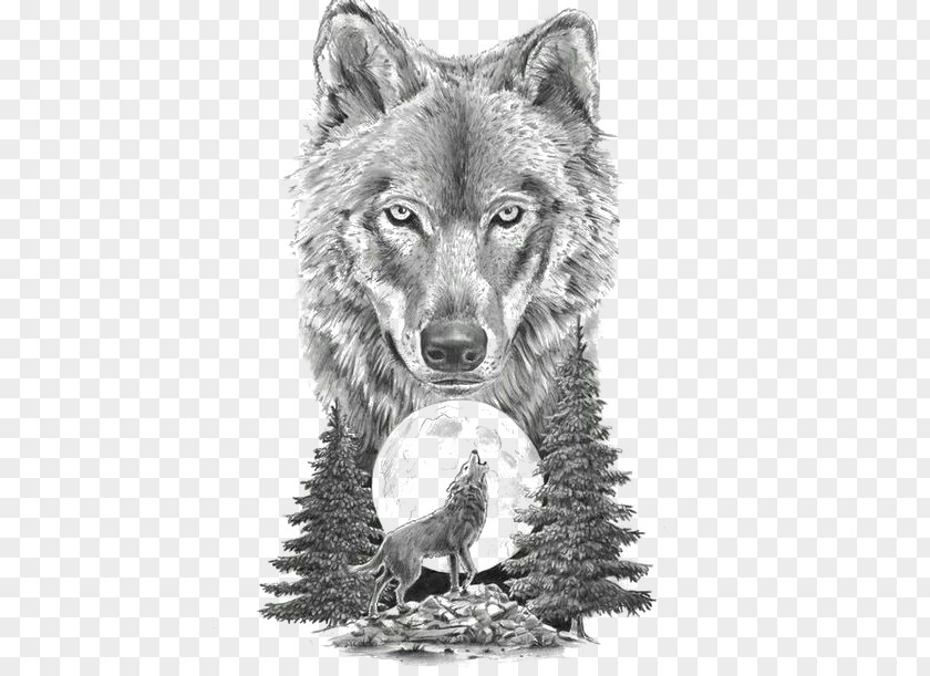 Sketch Animal Wolf Gray Art In Motion Tattoo Studio Artist Drawing PNG