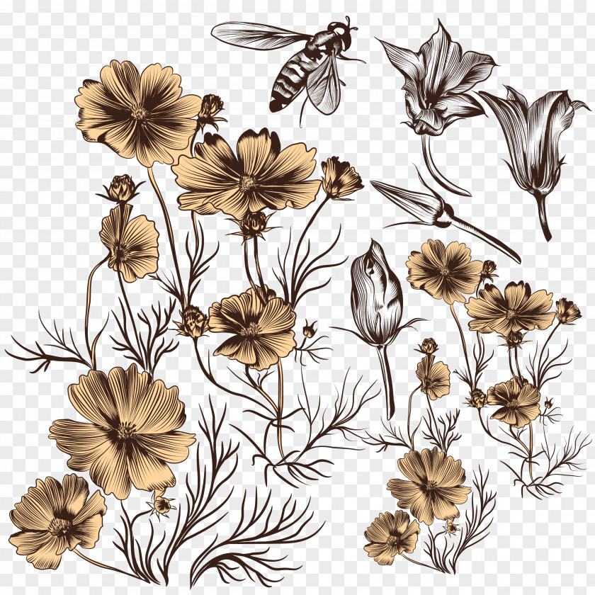 Sketch Flower Bee Download Euclidean Vector Drawing PNG