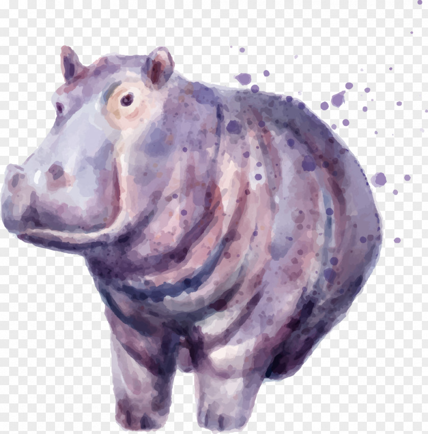 Vector Hand-painted Watercolor Illustration Hippo Hippopotamus Drawing Painting PNG