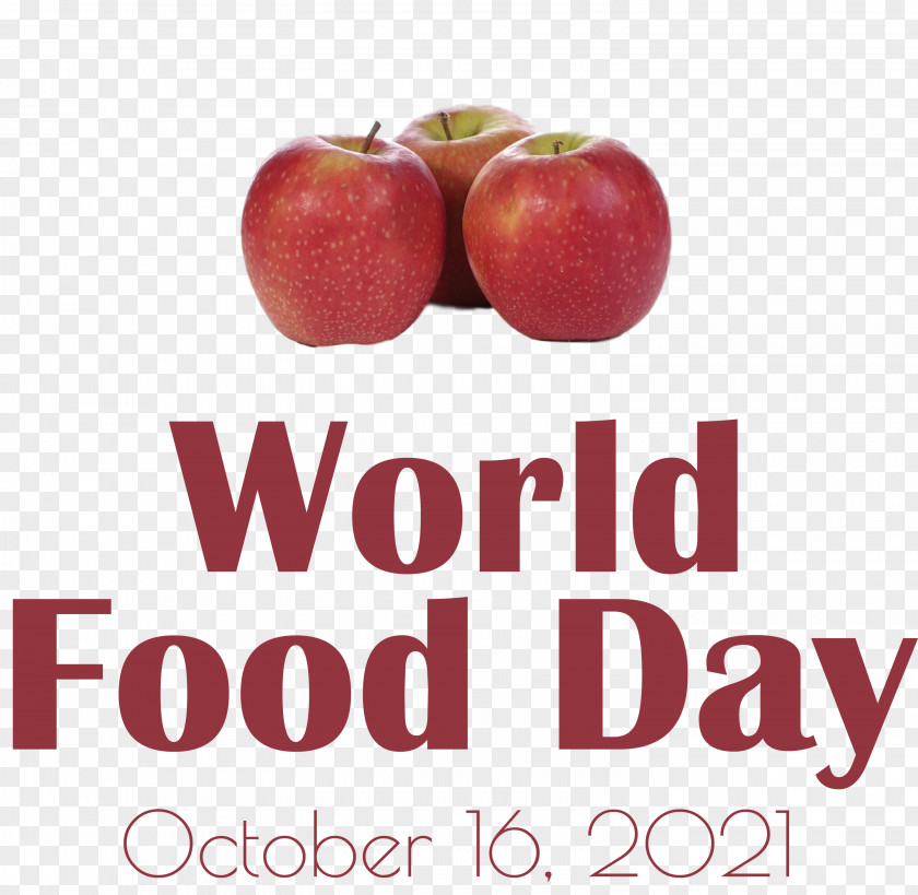 World Food Day Food Day PNG