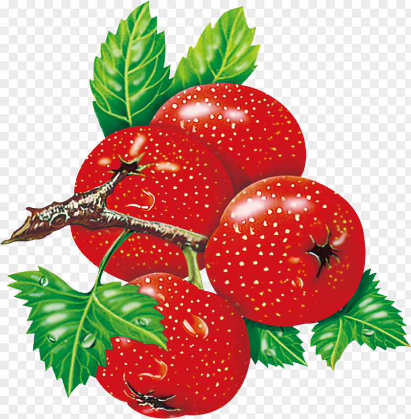 Cherry Strawberry Download PNG