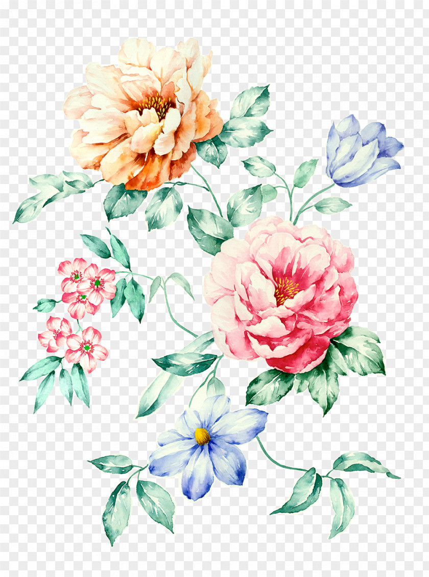 Colorful Flowers Poster Clip Art PNG