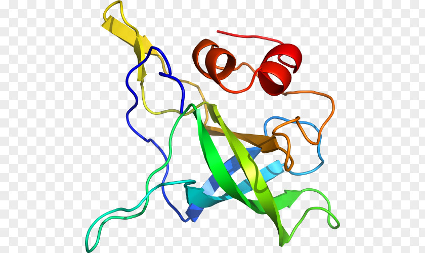 Corticotropinreleasing Hormone Receptor 1 Clip Art Product Organism Line PNG