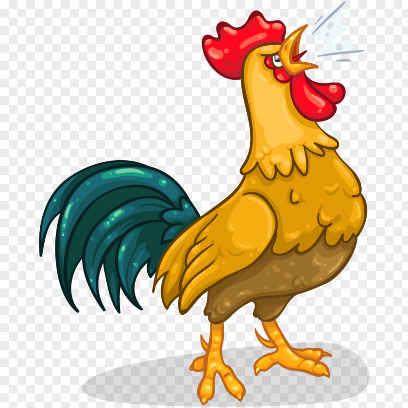 Duck Rooster Chicken Fowl Bird PNG