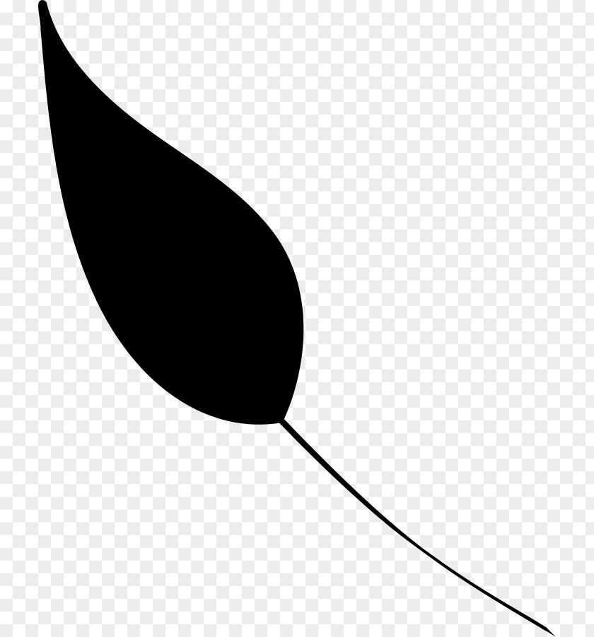 Leaf Clip Art Product Design Line PNG