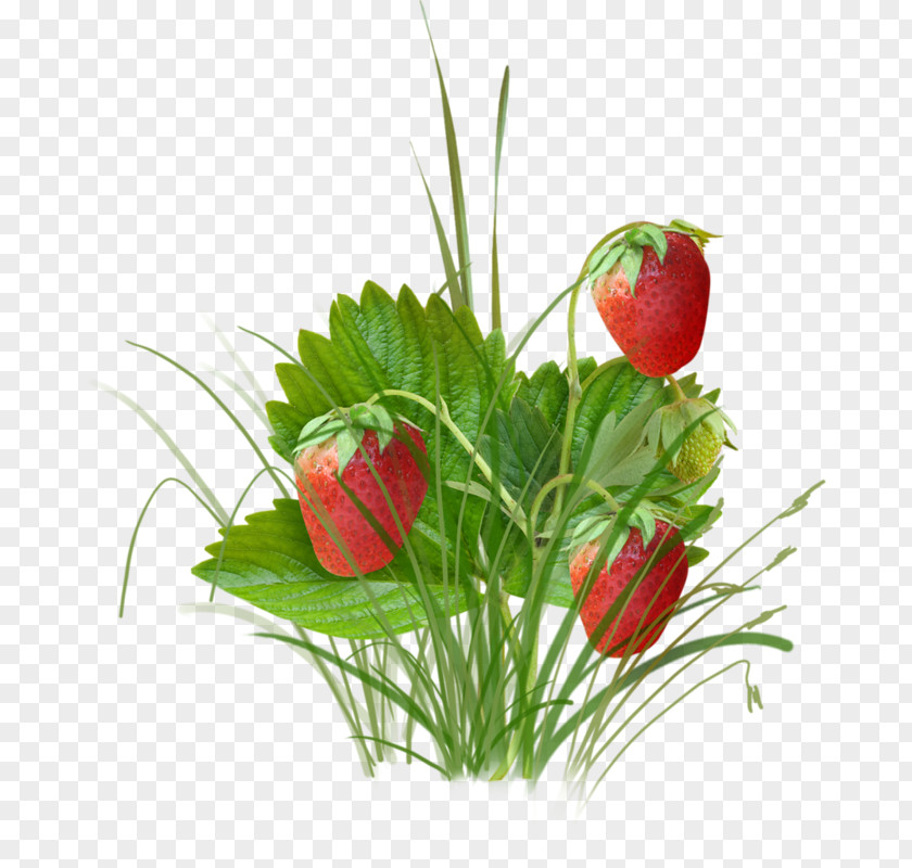 Strawberry Berries Fruit PNG