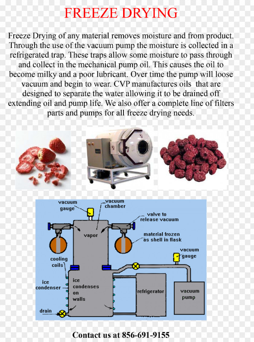 Freeze-drying Freezing Spray Drying Industry PNG