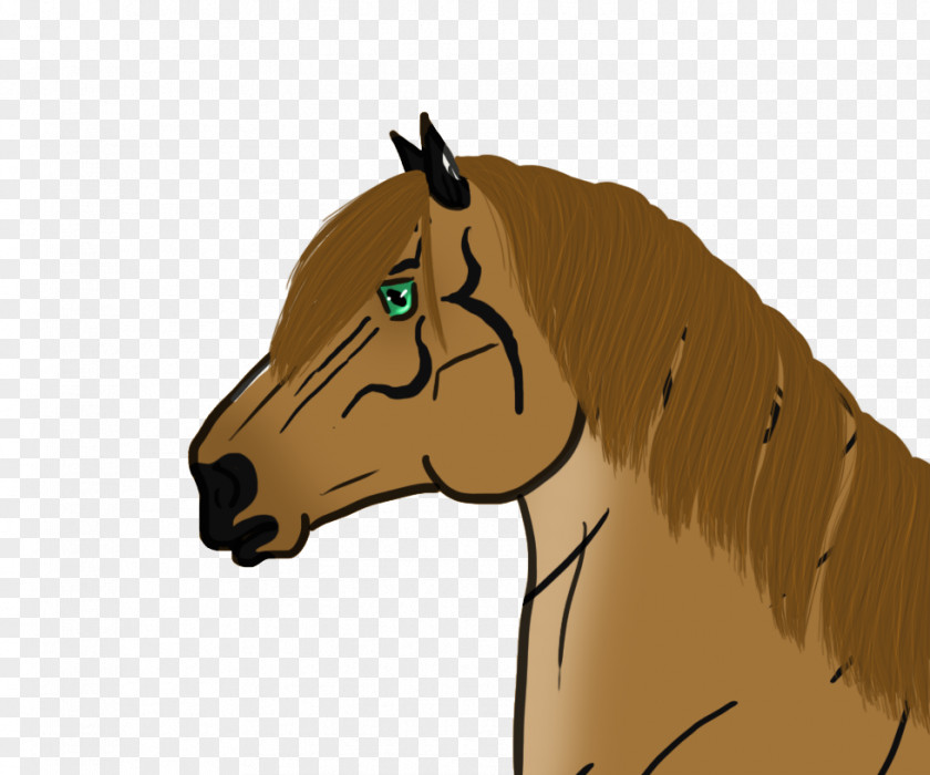 Mustang Pony Stallion Horses Drawing PNG