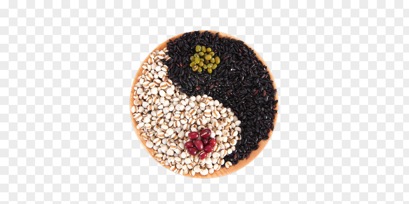 Arranged Ginkgo And Black Rice Yin Yang Diagram Huangdi Neijing Food Eating Five Grains PNG