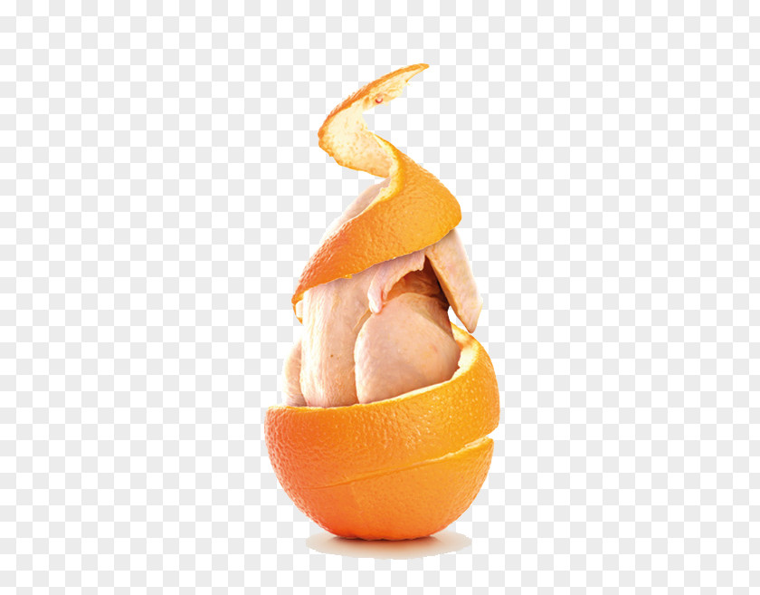 Chicken 65 Orange PNG