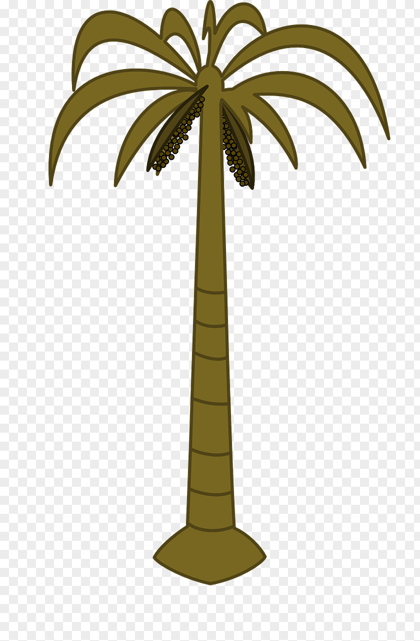 Coconut Arecaceae Date Palm Tree Clip Art PNG