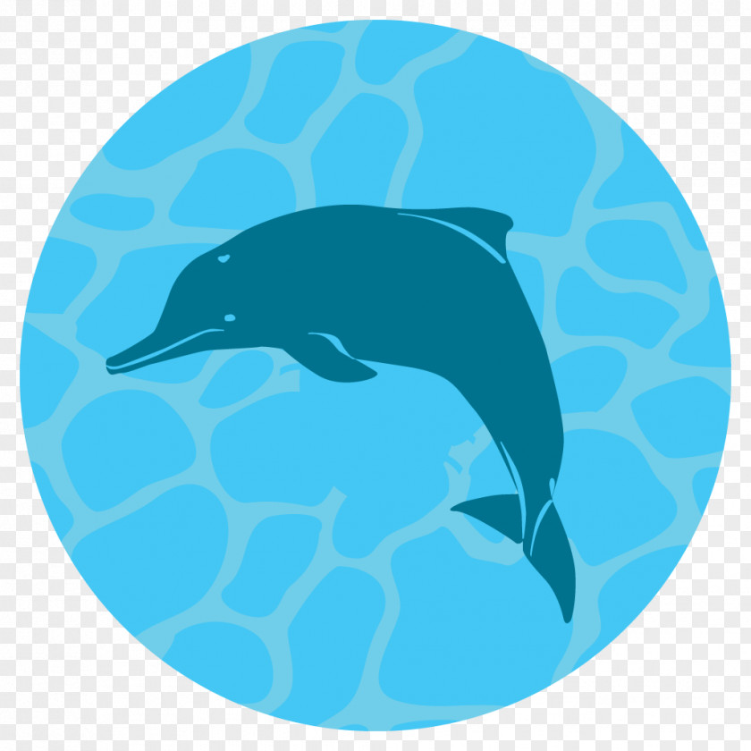 Common Bottlenose Dolphin Tucuxi Earth Hour 2018 Green Sea Turtle PNG