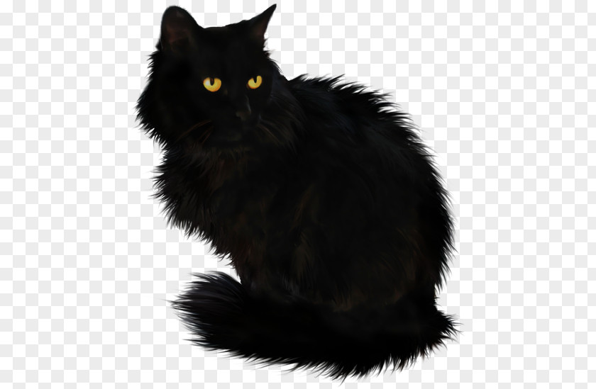 Hello Mother Cat Black Maine Coon Domestic Long-haired Cymric Short-haired PNG