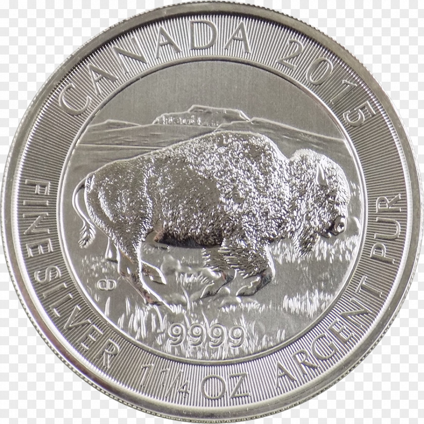 Metal Coin Quarter Nickel Medal PNG