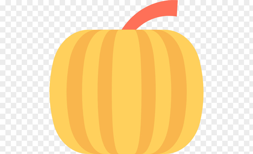 Pumpkin Jack-o'-lantern Computer Icons Gourd Calabaza PNG